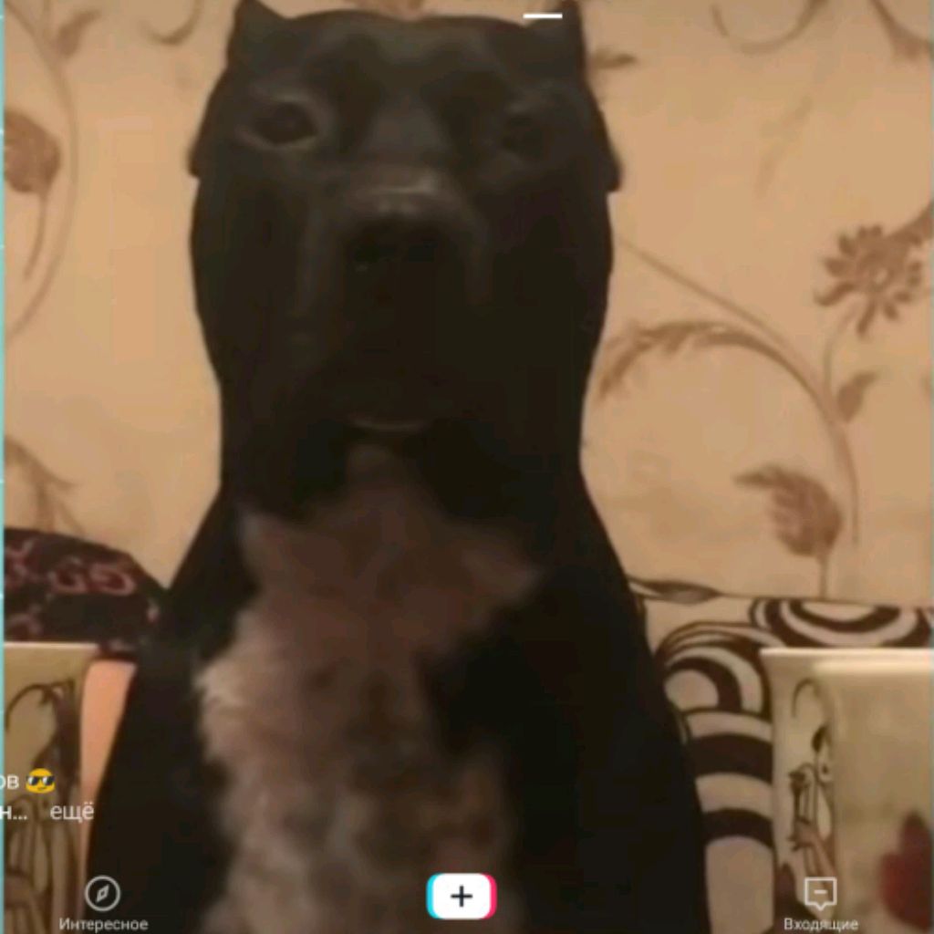 Аватар пользователя