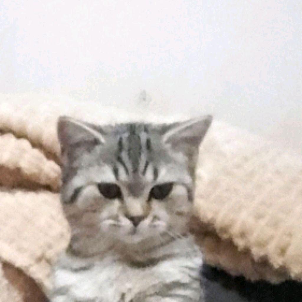 Аватар пользователя