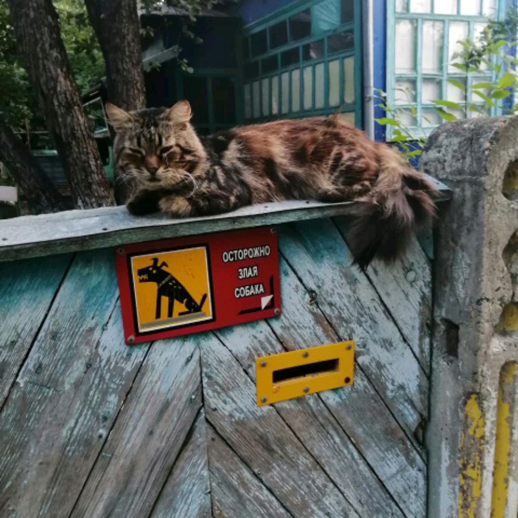 Аватар пользователя