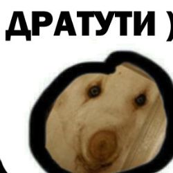 Аватар пользователя