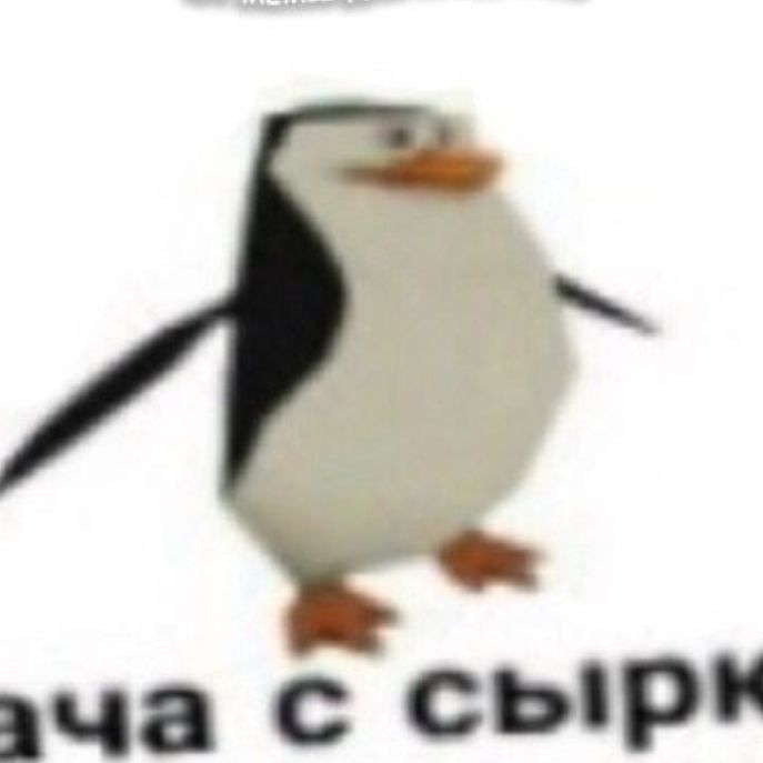 Аватар пользователя