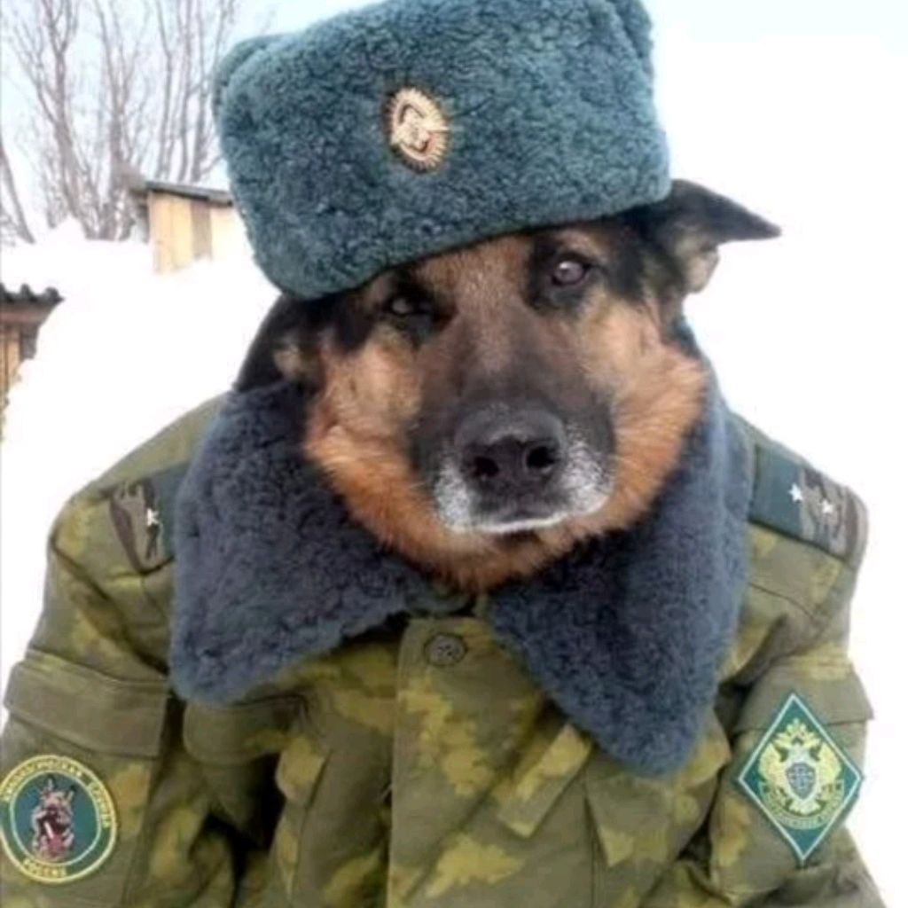 Аватар пользователя