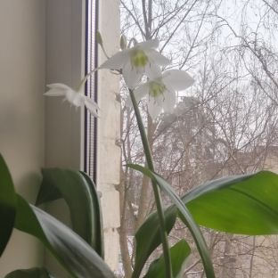 Аватар пользователя