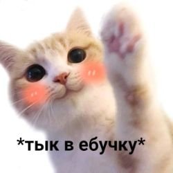 Аватар пользователя