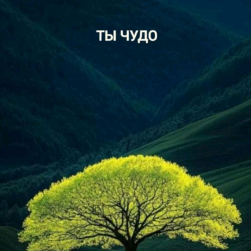 Аватар пользователя