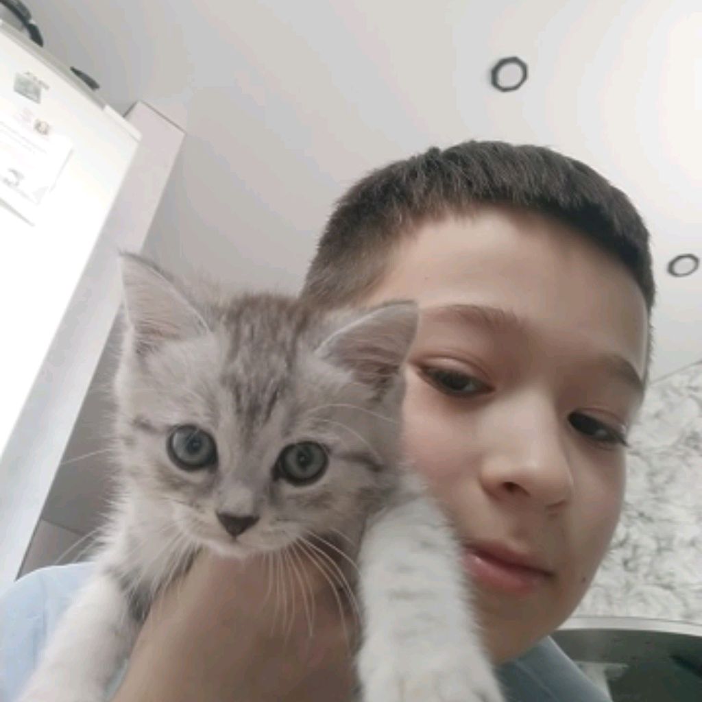Аватар пользователя
