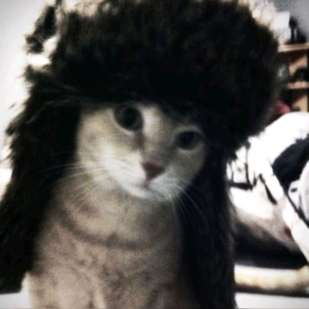Аватар пользователя