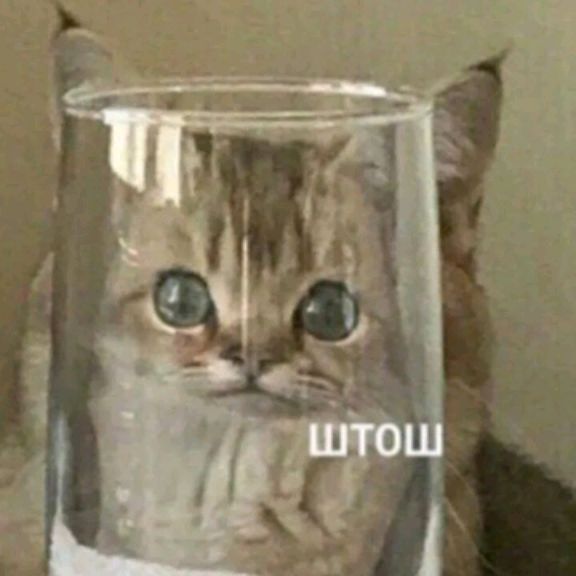 Аватар пользователя