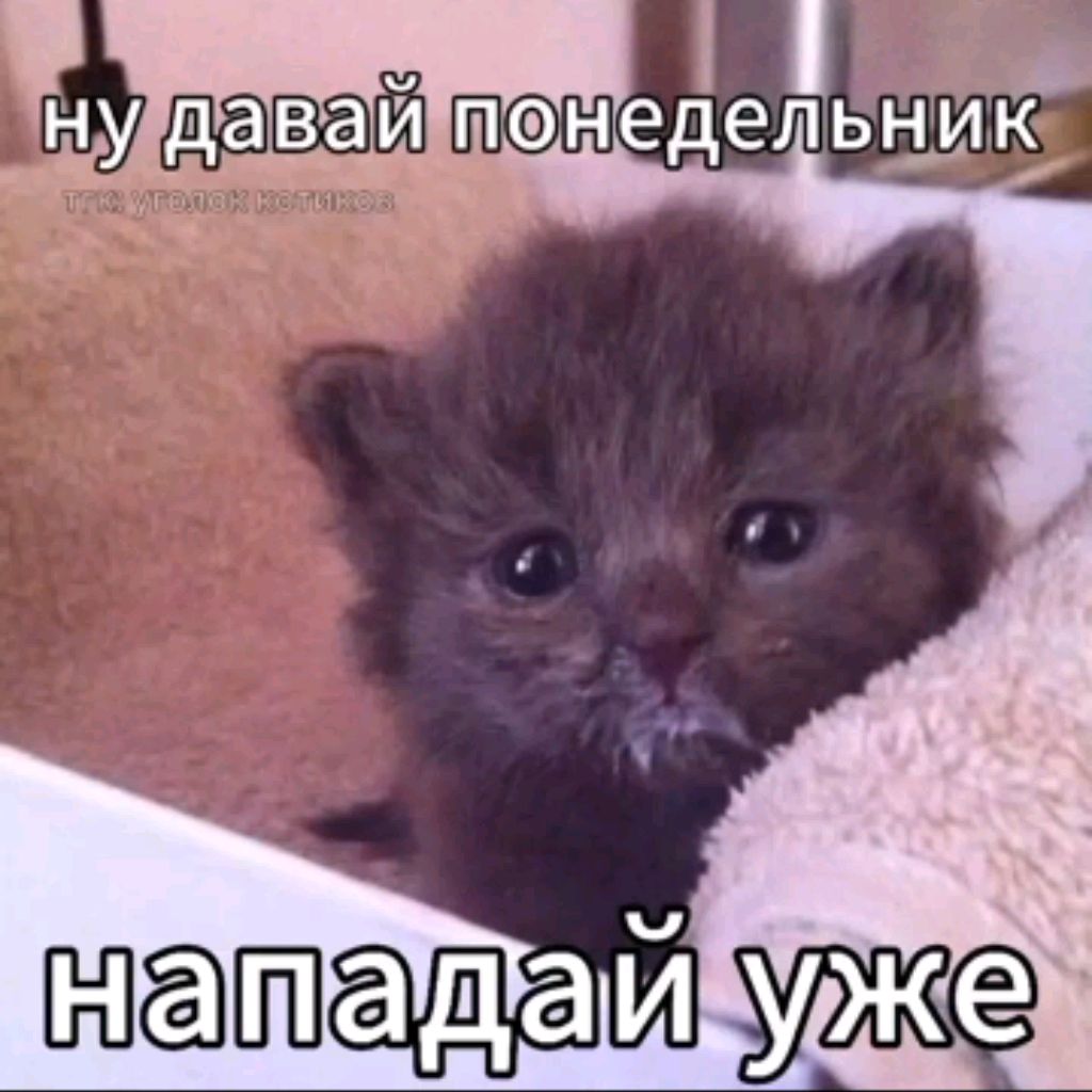 Аватар пользователя