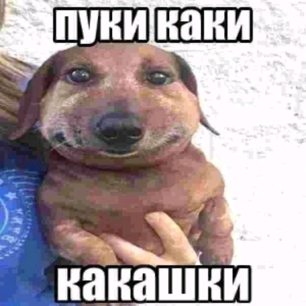 Аватар пользователя