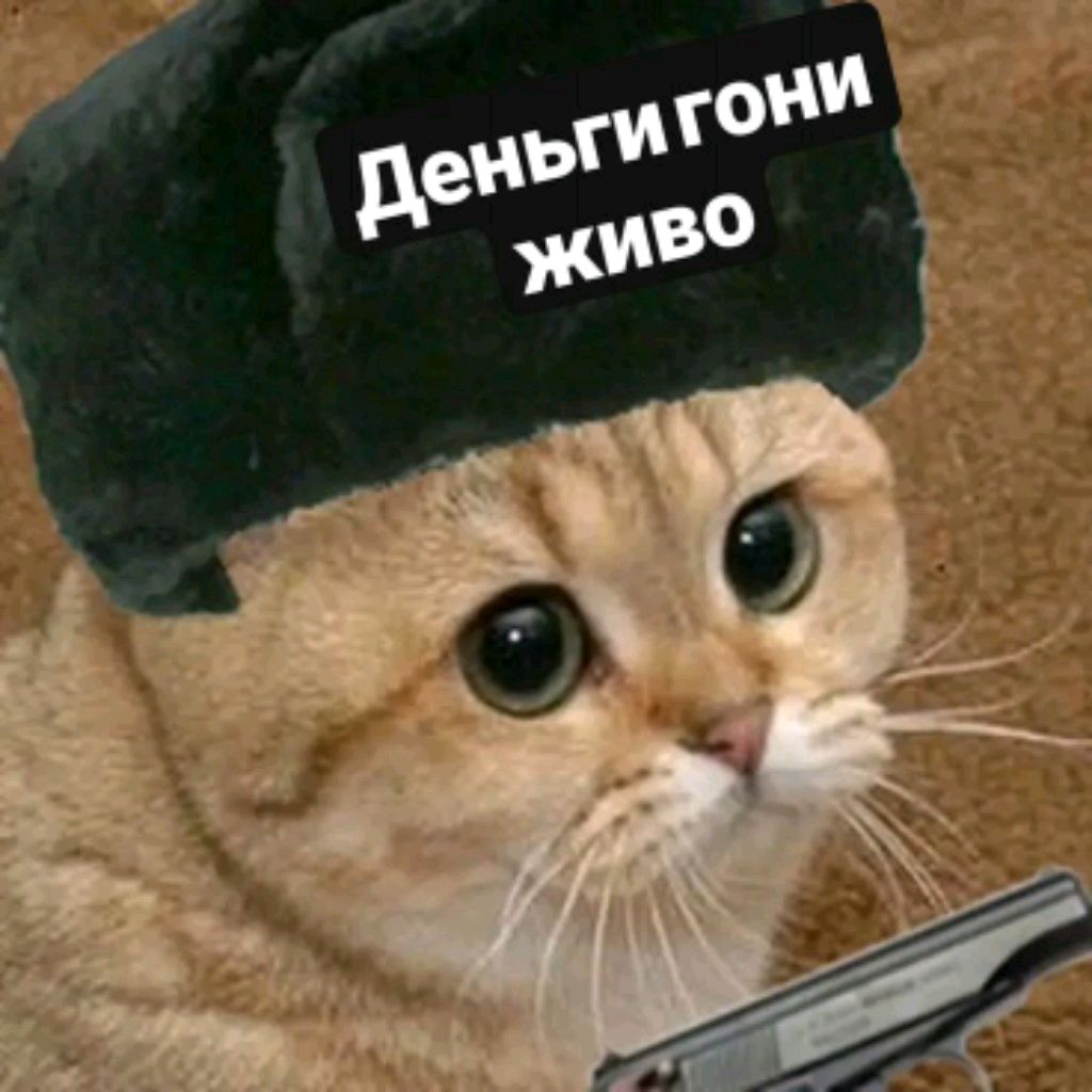 Аватар пользователя