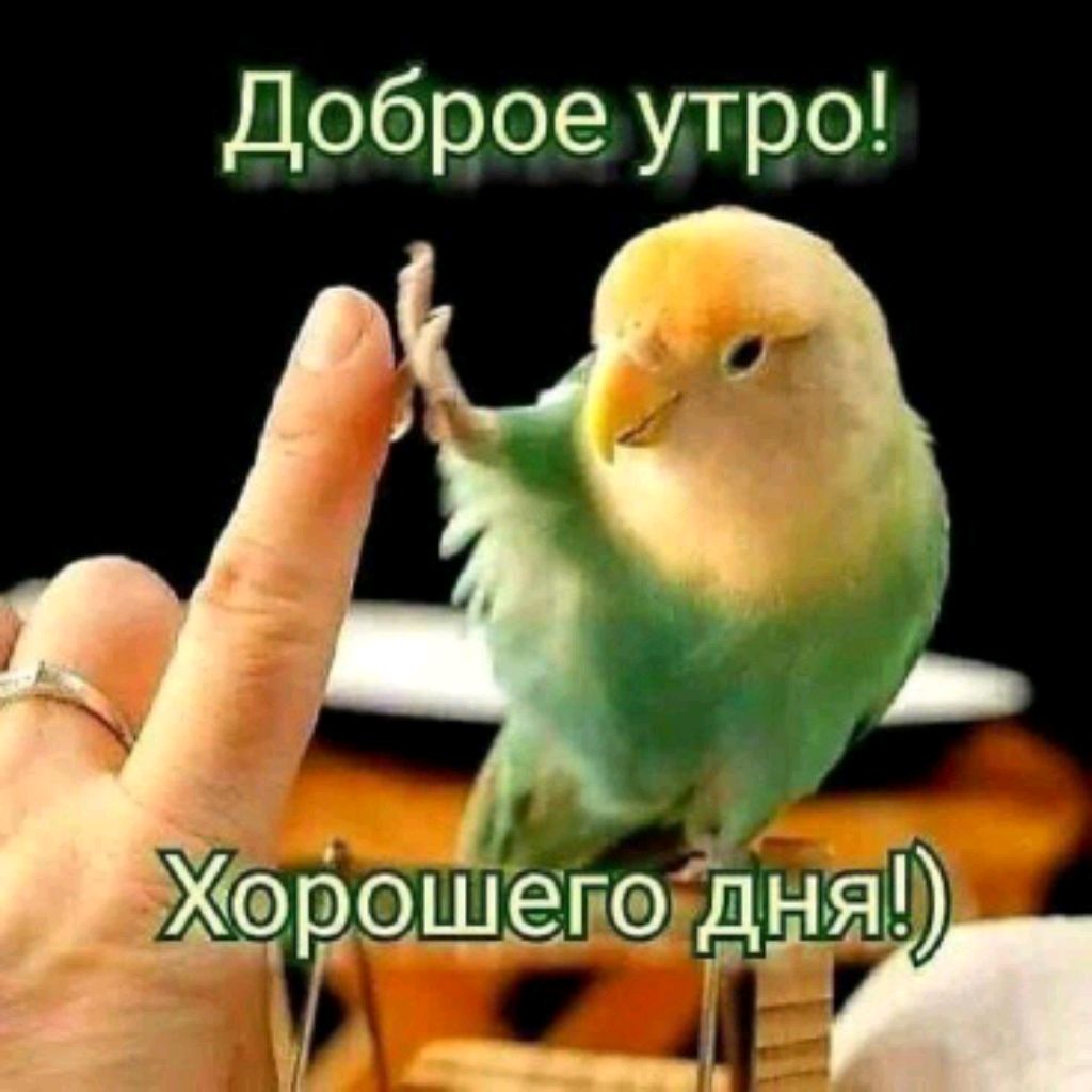 Аватар пользователя