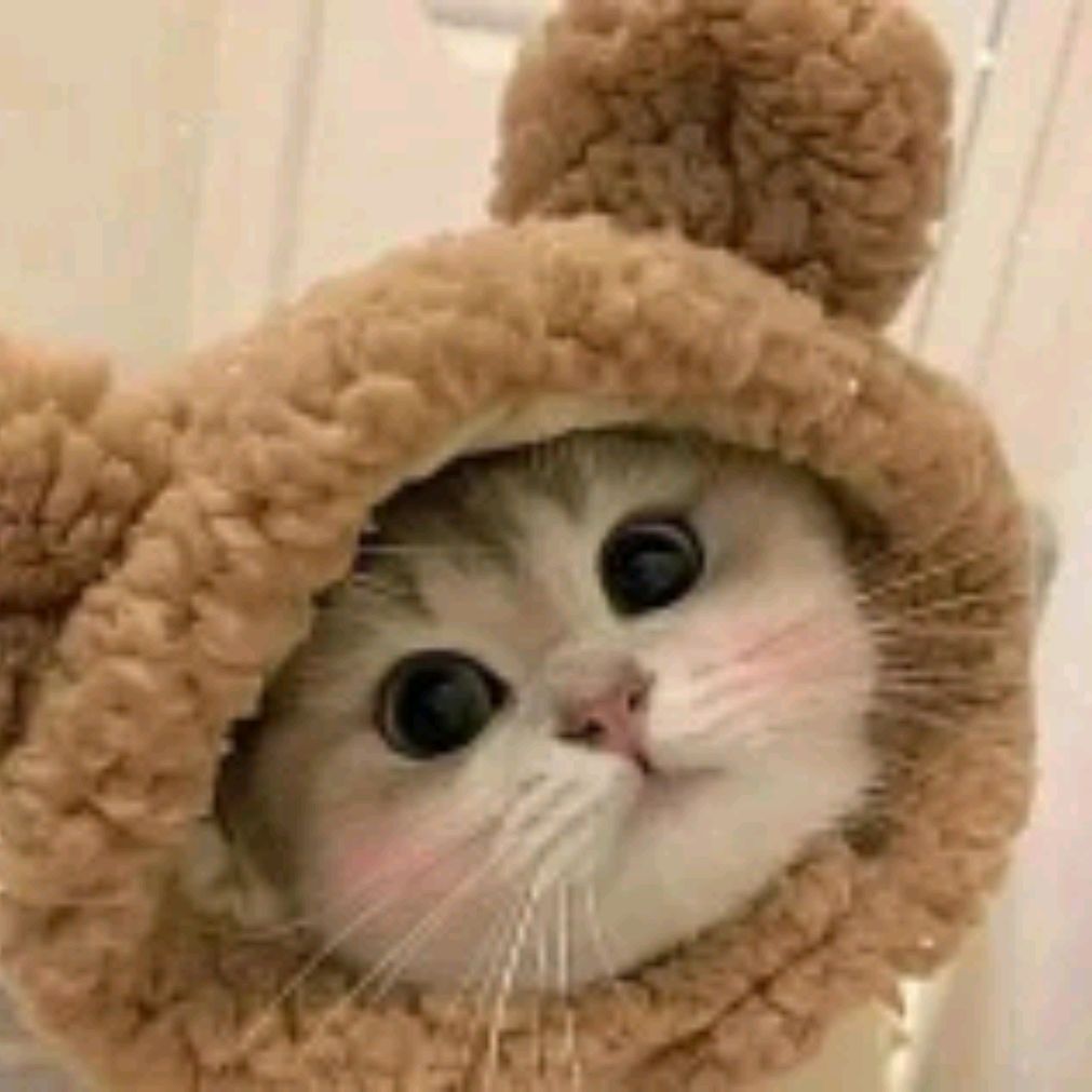 Аватар пользователя
