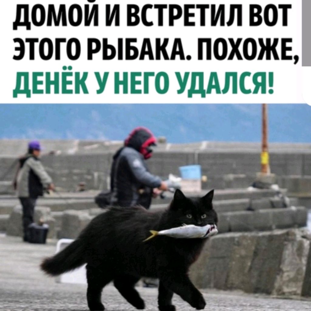Аватар пользователя