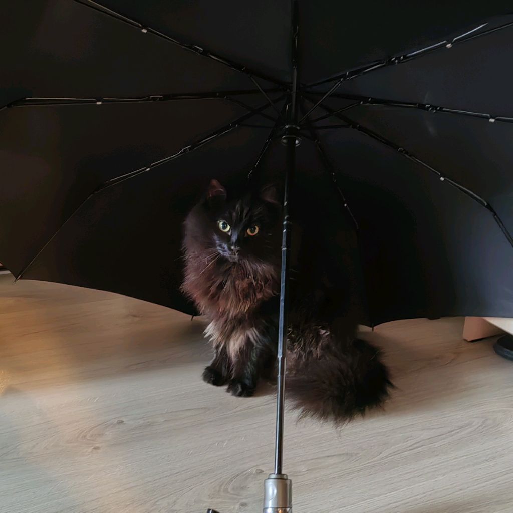 Аватар пользователя