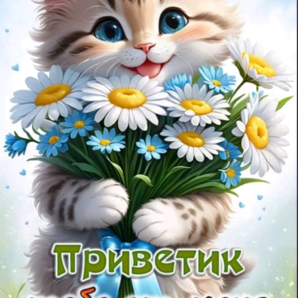 Аватар пользователя