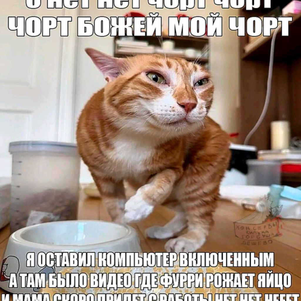 Аватар пользователя