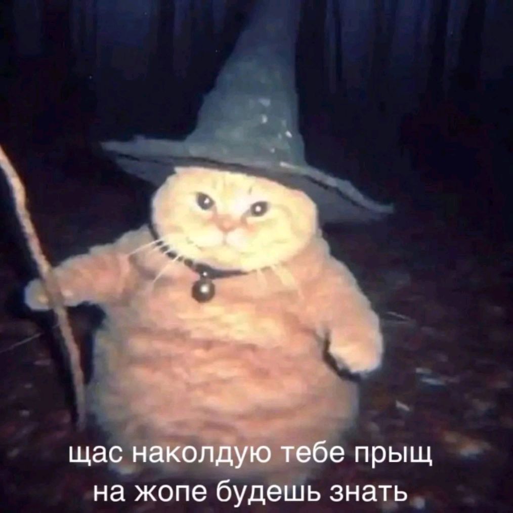 Аватар пользователя
