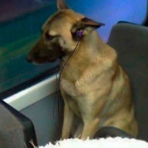 Аватар пользователя