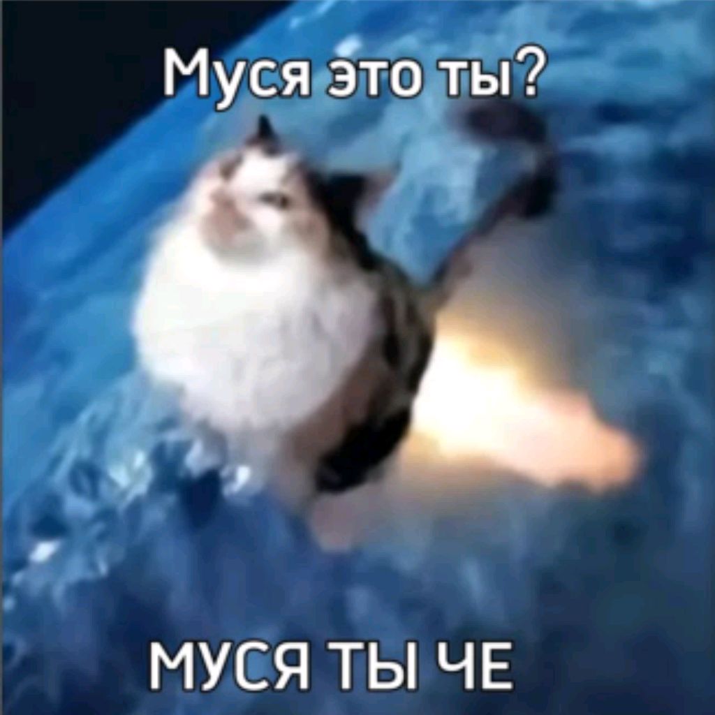 Аватар пользователя