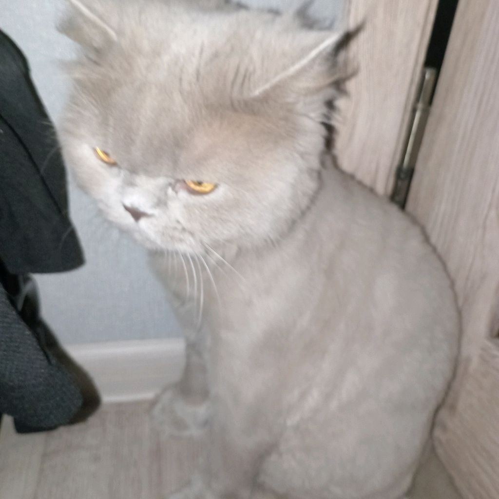 Аватар пользователя