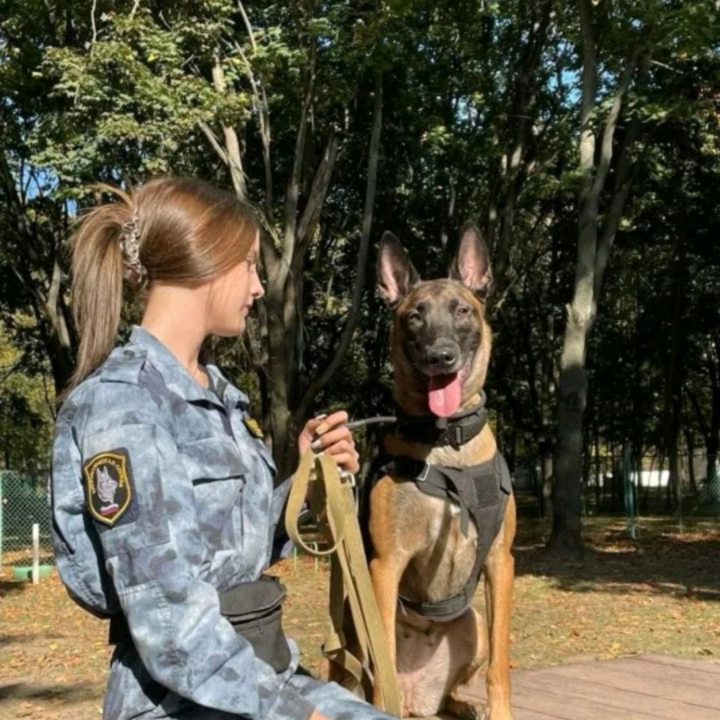 Аватар пользователя