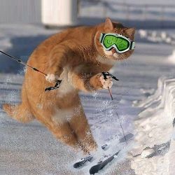 Аватар пользователя