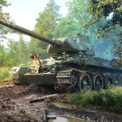 Аватар пользователя