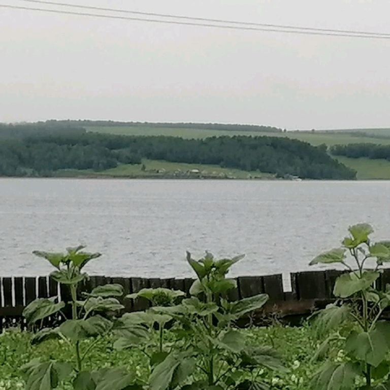 Аватар пользователя