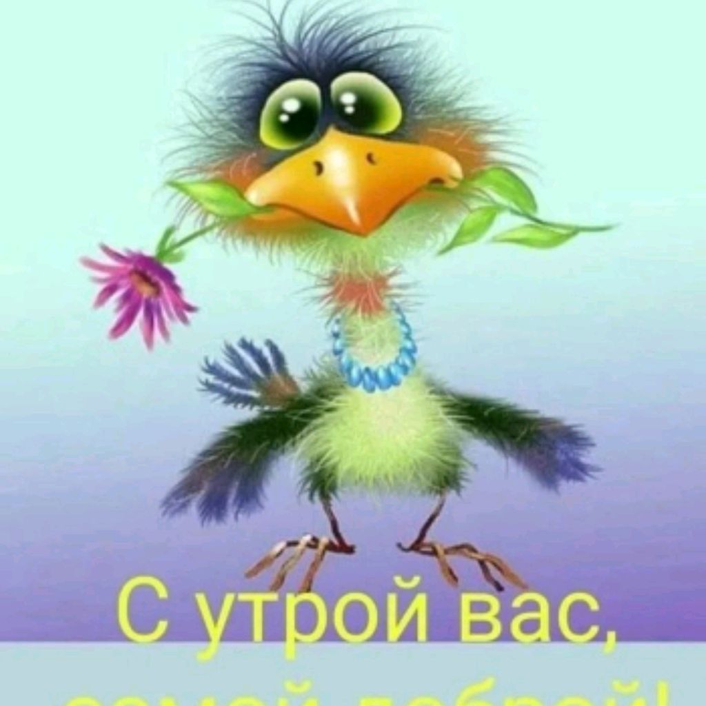 Аватар пользователя