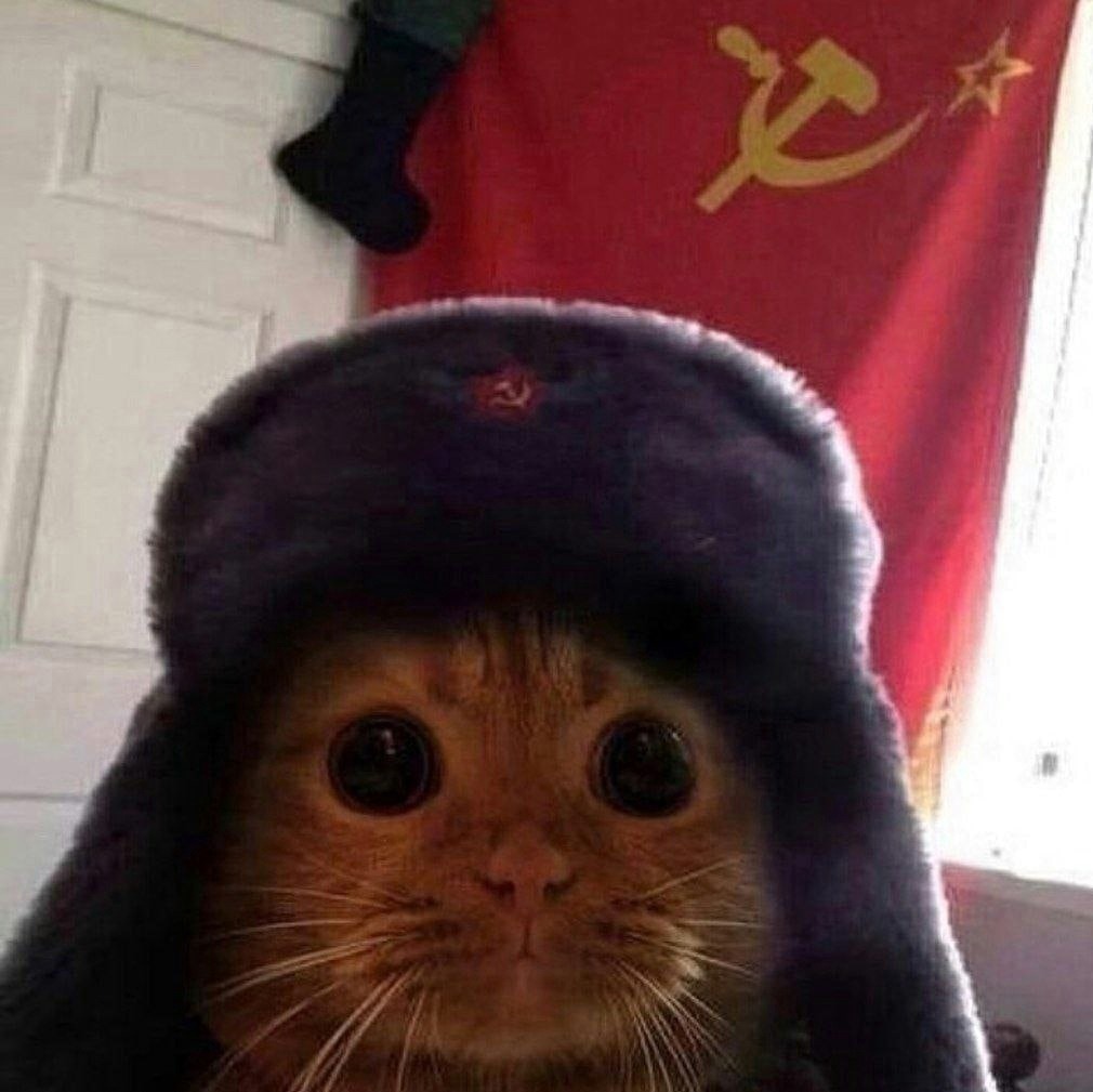 Аватар пользователя