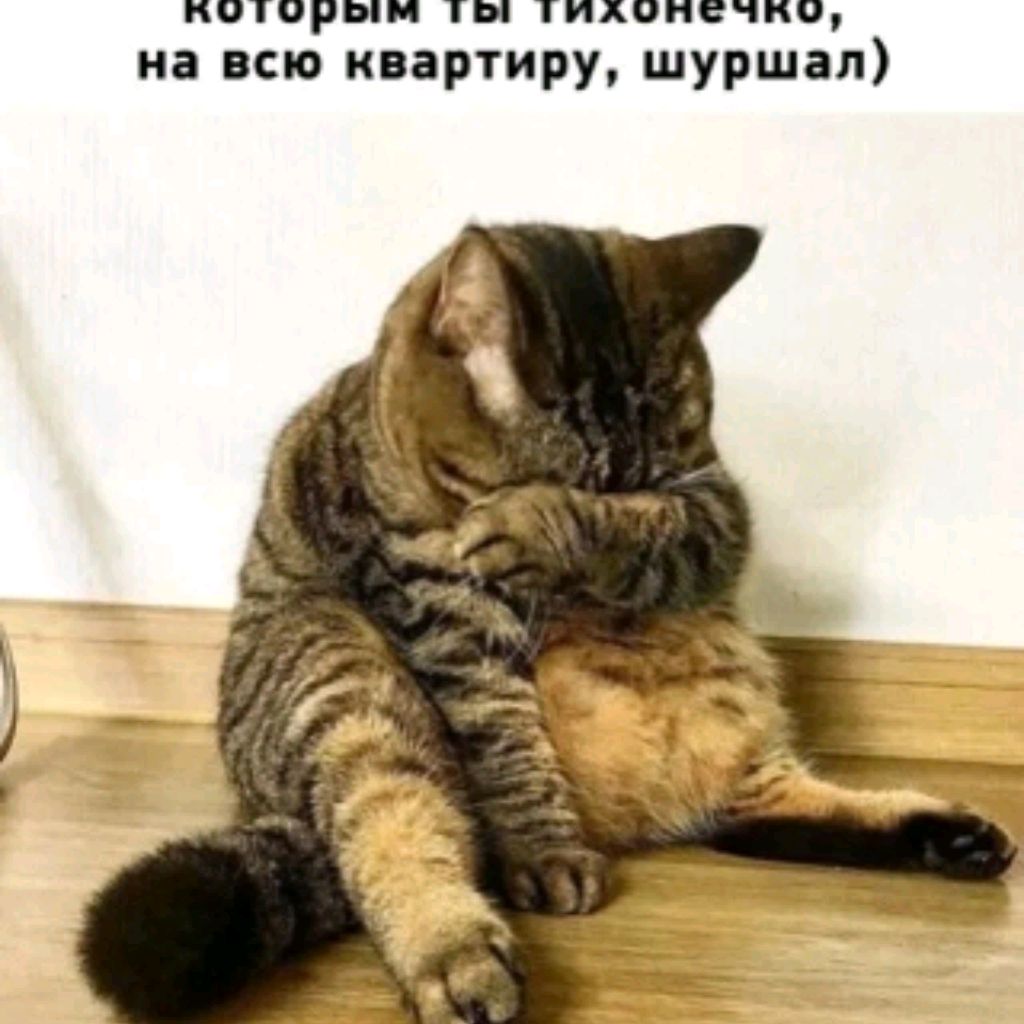 Аватар пользователя