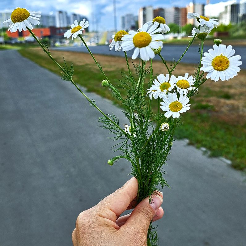 Аватар пользователя