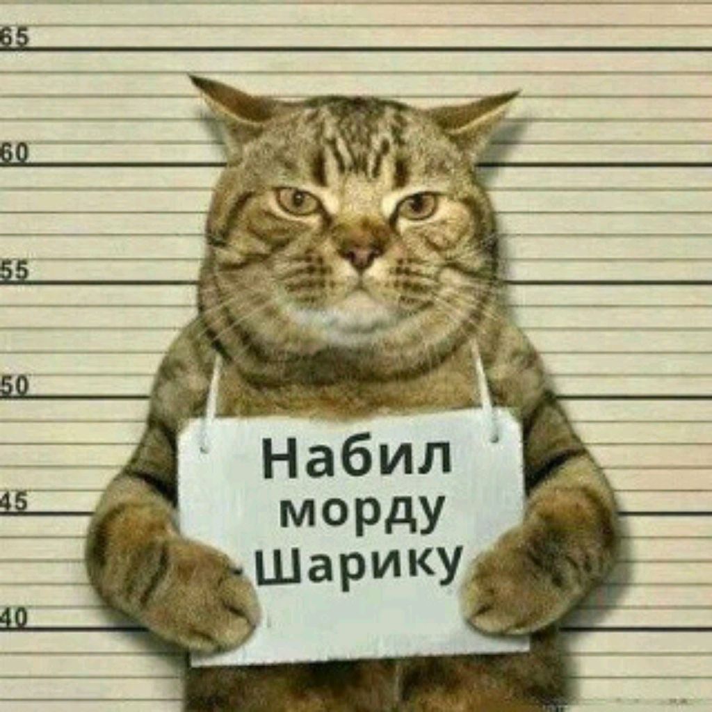 Аватар пользователя