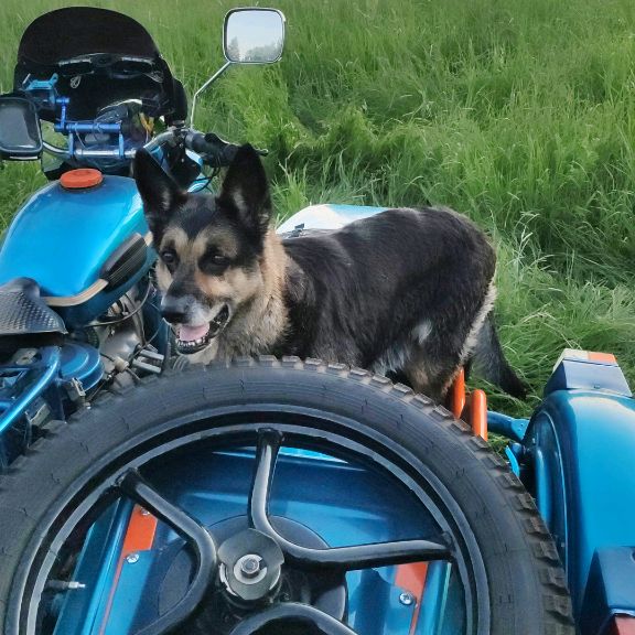 Аватар пользователя