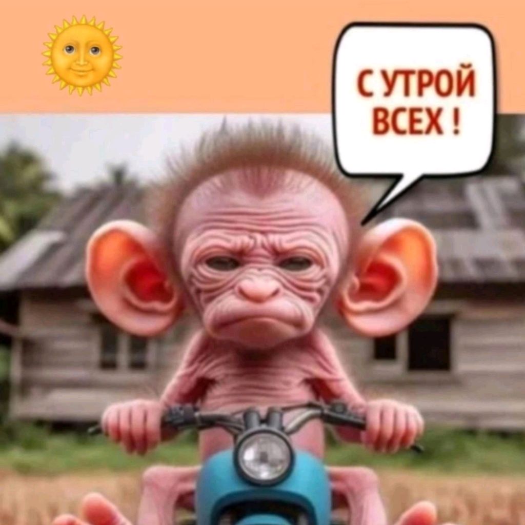 Аватар пользователя