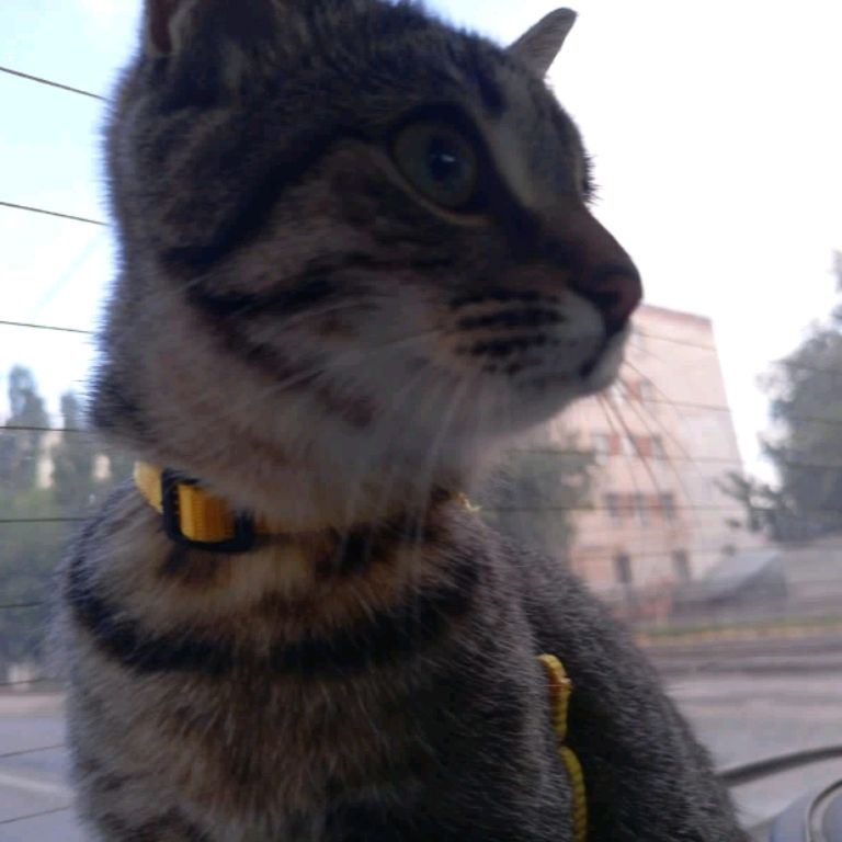 Аватар пользователя