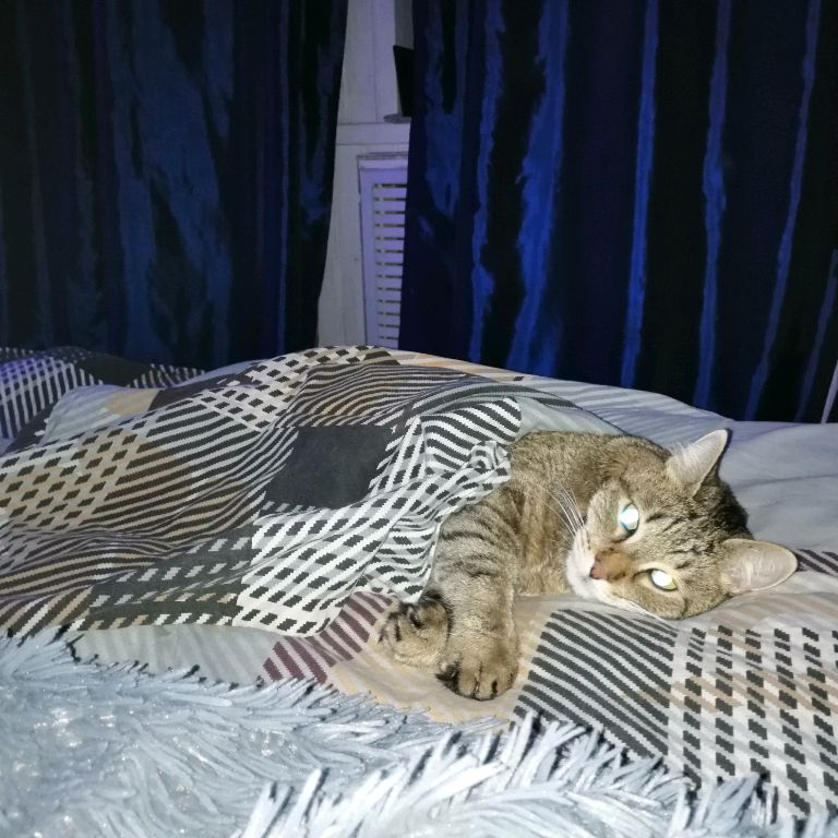 Аватар пользователя
