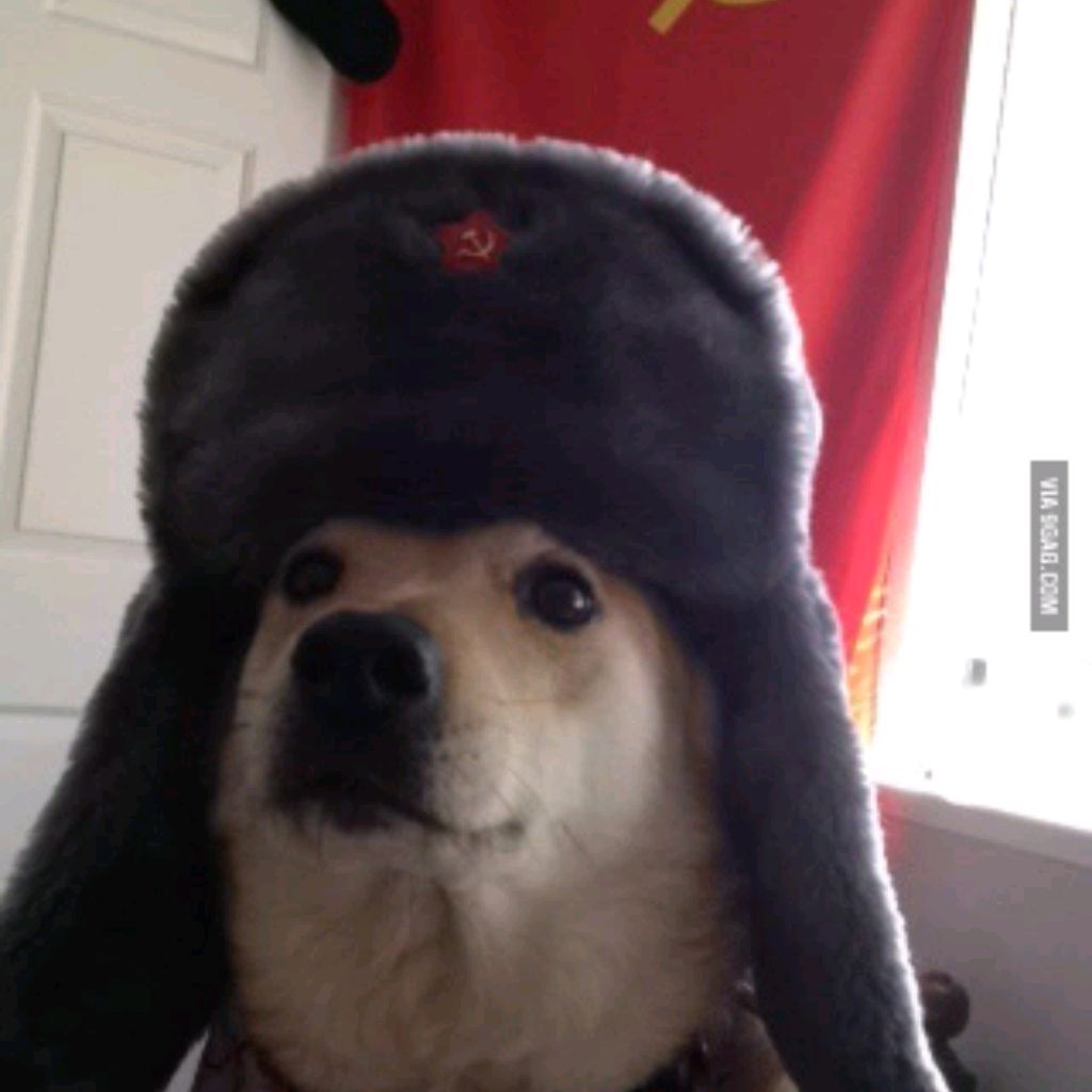 Аватар пользователя