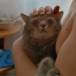 Аватар пользователя