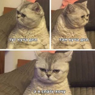 Аватар пользователя