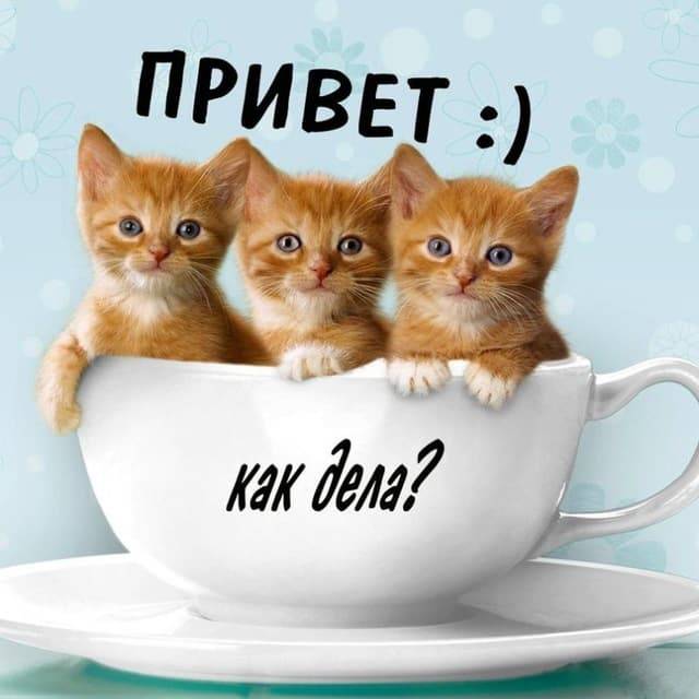 Аватар пользователя
