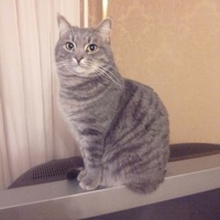 Аватар пользователя