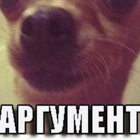 Аватар пользователя
