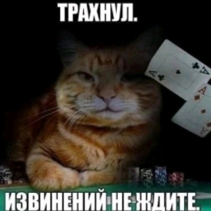 Аватар пользователя