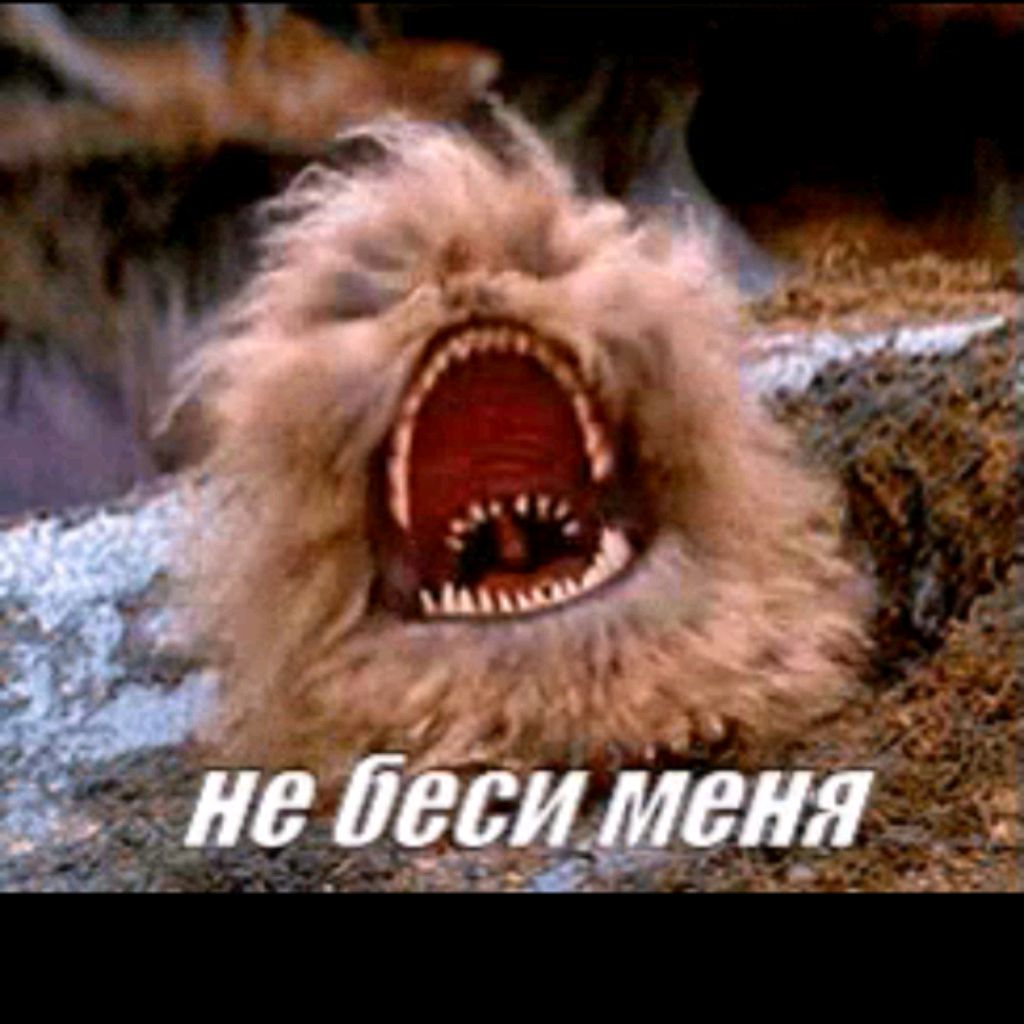 Аватар пользователя