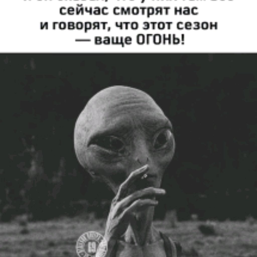 Аватар пользователя
