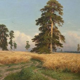 Аватар пользователя