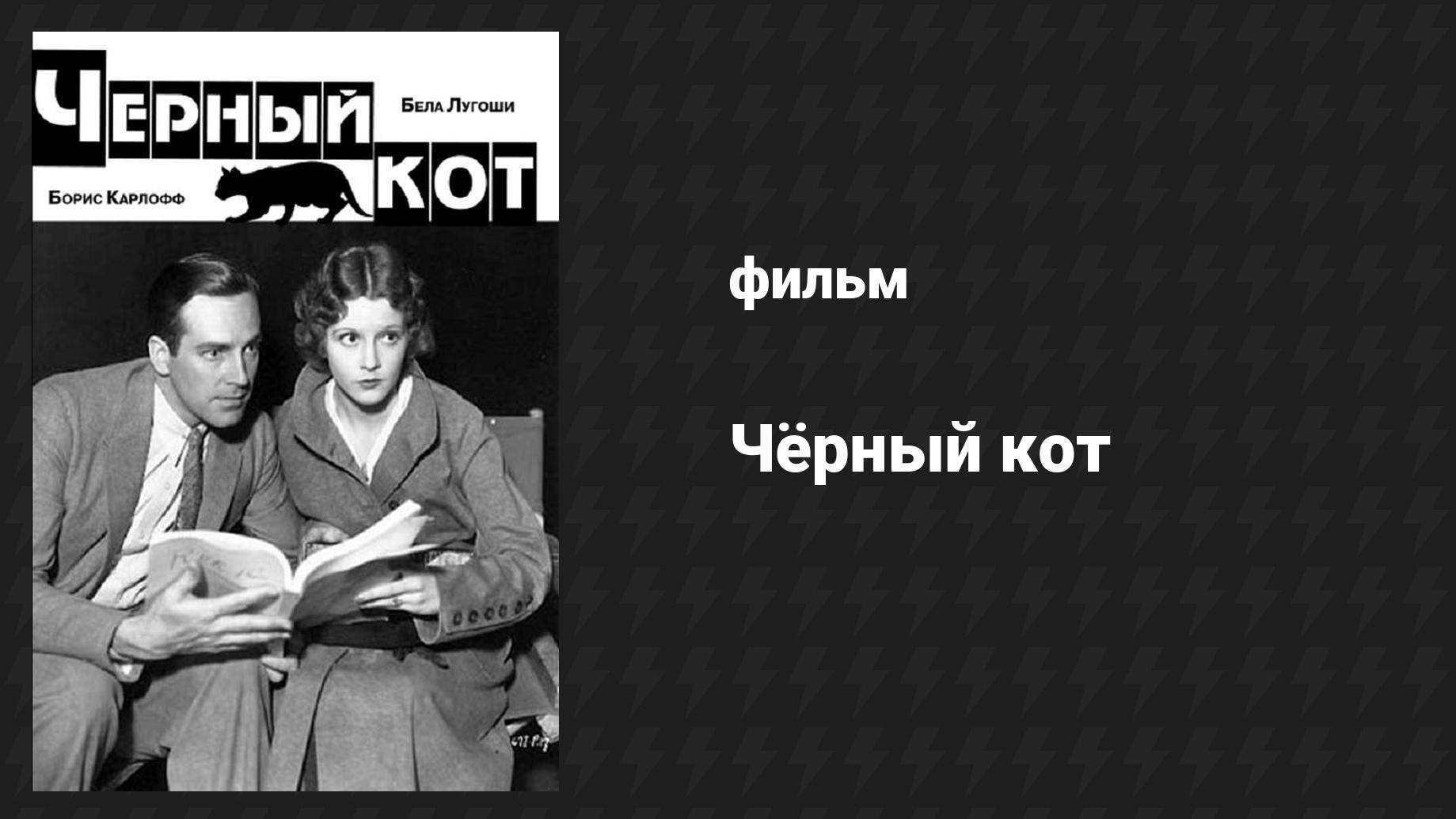 Чёрный кот (фильм, 1934)