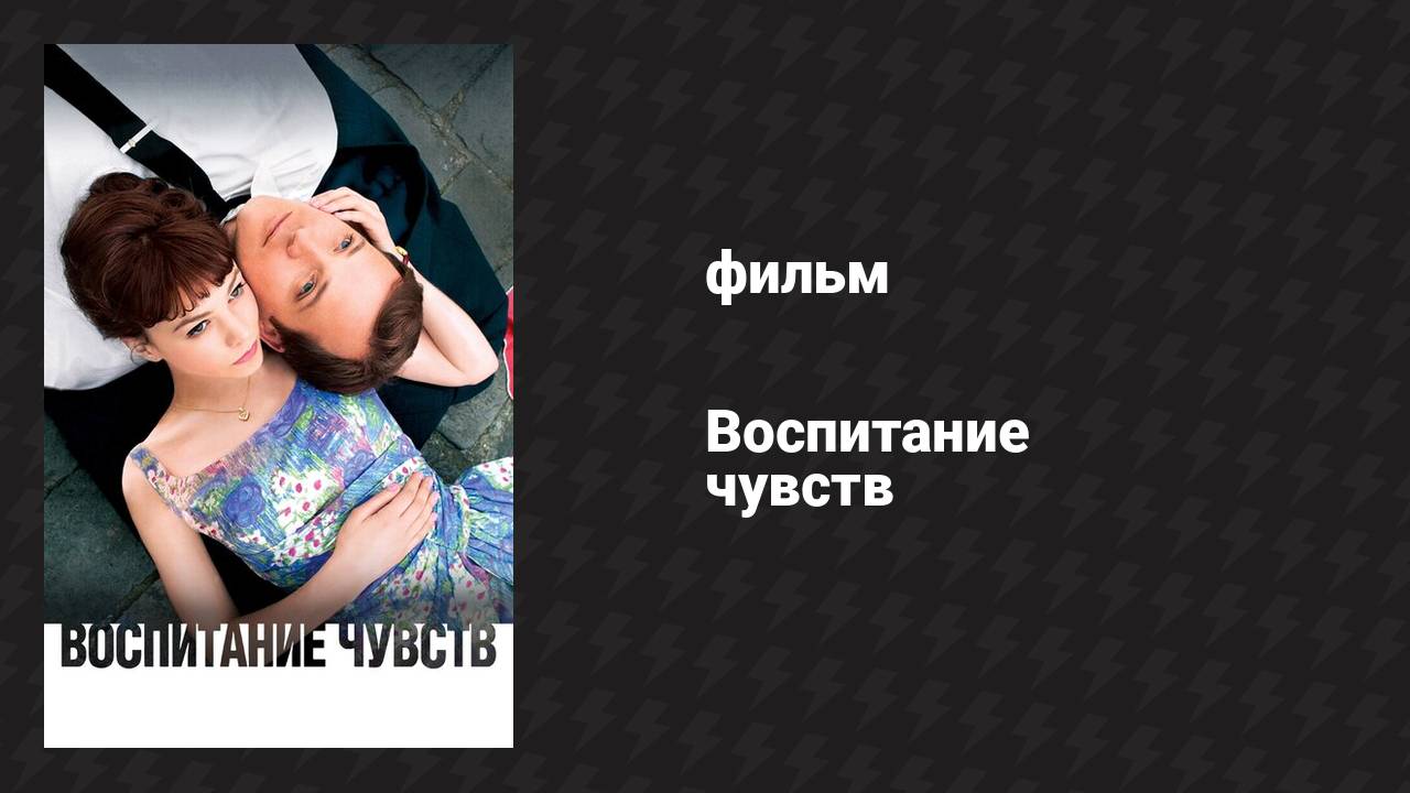 Воспитание чувств (фильм, 2008)